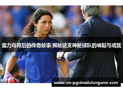 魔力鸟背后的传奇故事 揭秘这支神秘球队的崛起与成就