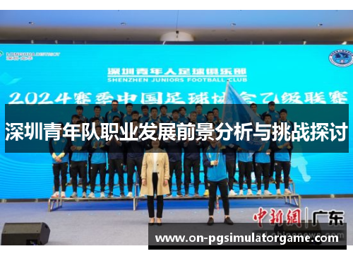 深圳青年队职业发展前景分析与挑战探讨